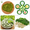 Moringa oleifera Powder Ekstrak Moringa oleifera